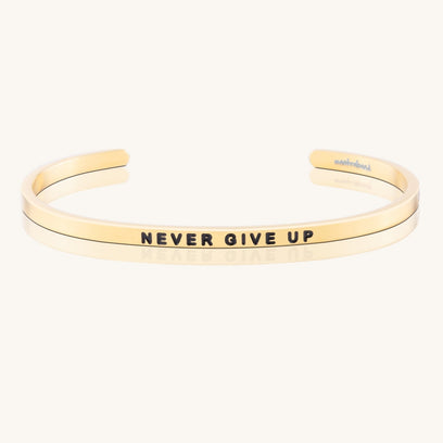 Never Give Up