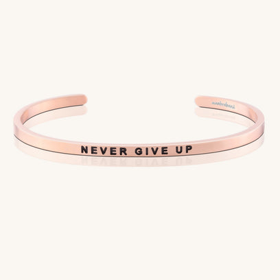 Never Give Up