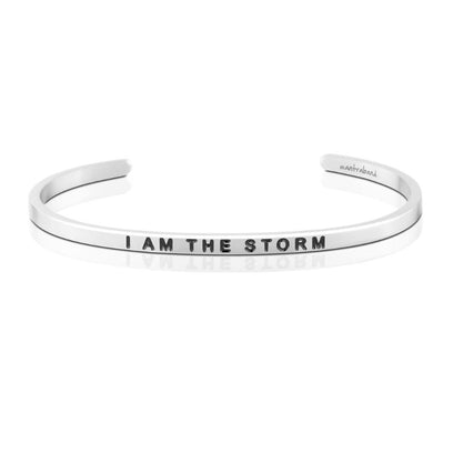 I Am The Storm